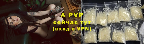 крисы Белоозёрский