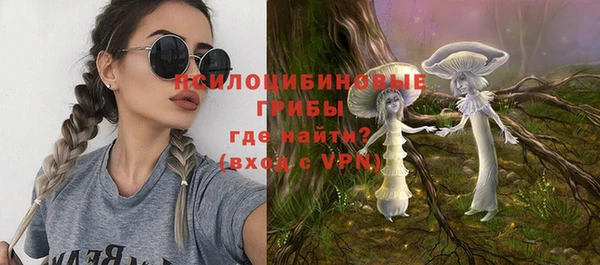 крисы Белоозёрский