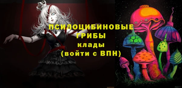 амф Белокуриха