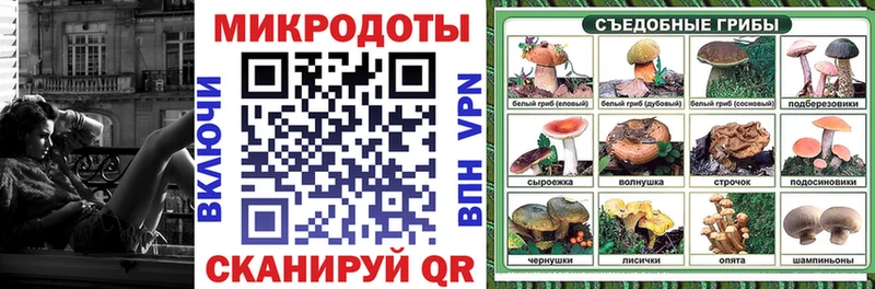 Галлюциногенные грибы GOLDEN TEACHER  наркотики  Губкинский 